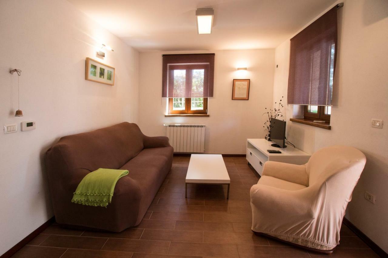 Apartment Sincic Novigrad Istria Exterior foto