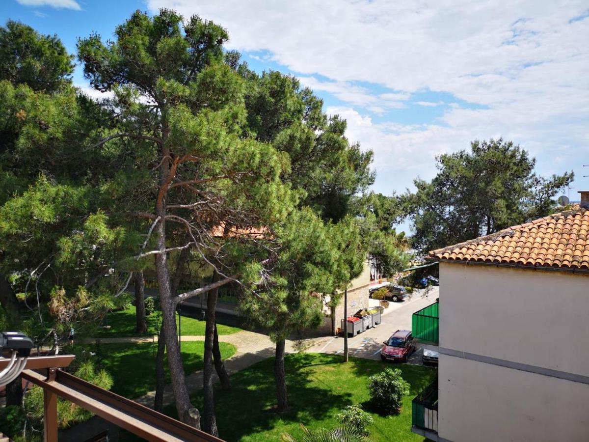 Apartment Sincic Novigrad Istria Exterior foto